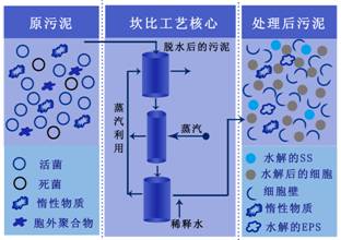 ���Ź���(MAYA)�����ϰ��ص�