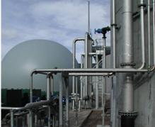 ���Ź���(MAYA)�����ϰ��ص�