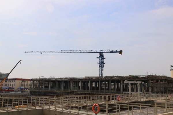 ���Ź���(MAYA)�����ϰ��ص�