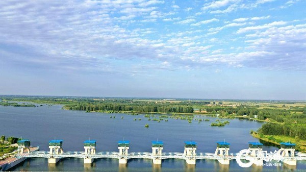 ���Ź���(MAYA)�����ϰ��ص�